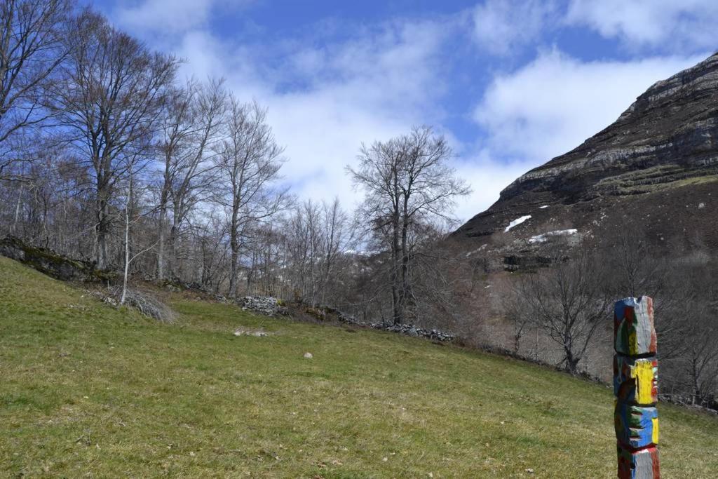 un campo con árboles al lado de una colina en Preciosa cabaña pasiega restaurada, en Espinosa de los Monteros