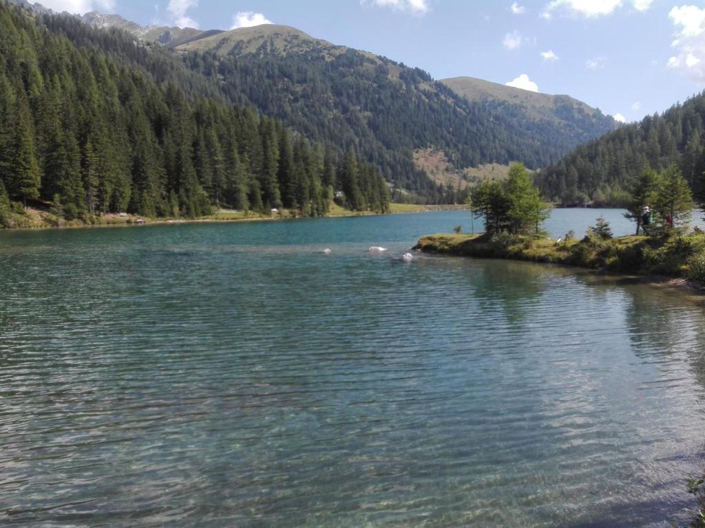 Príroda v okolí apartmánu