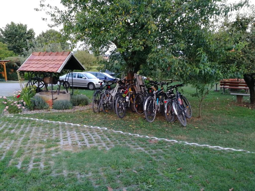 Zahrada ubytování Panorama B&B