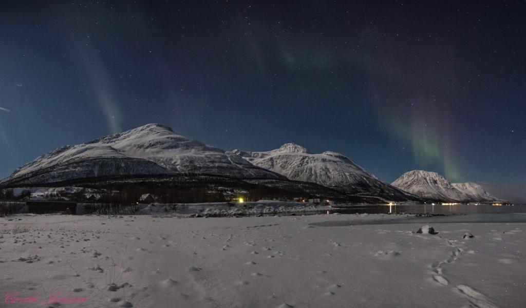 a mountain under a starry sky with the northern lights at Sjursnes Fjordferie in Sjursnes
