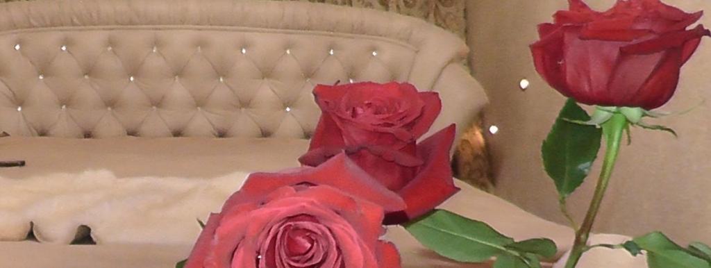 Royal King and Queen apartment for Luxury Life - Image 3