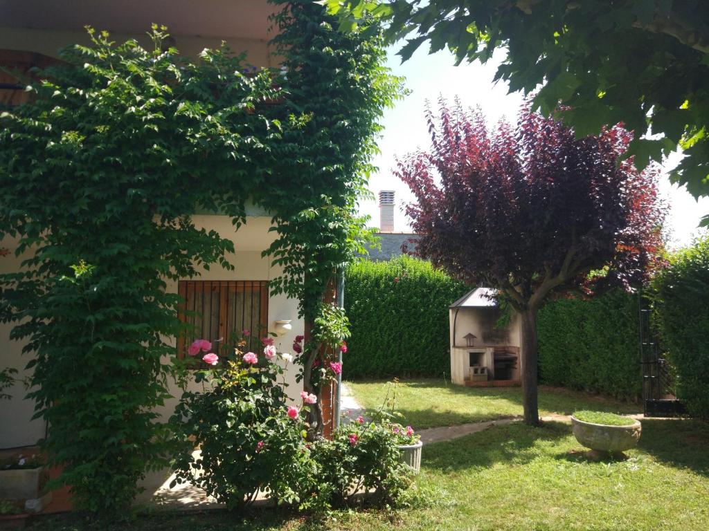 Zahrada ubytování Chalet en el Orbigo
