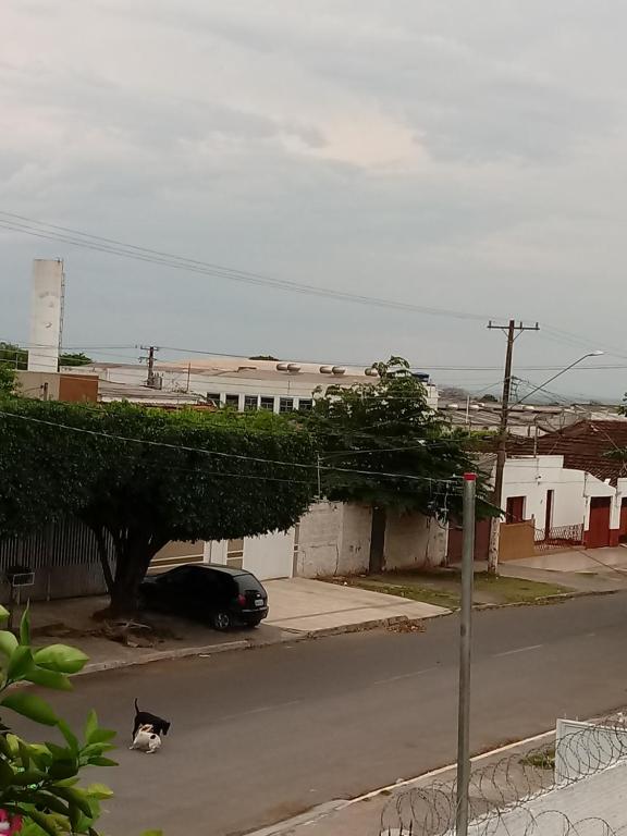  Pantanal Corumba Ms