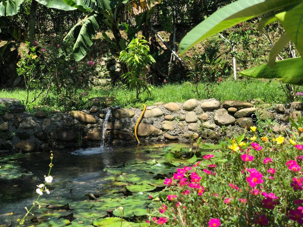 a stream of water with flowers and a waterfall at Liang Chen Mei Jin B&amp;B in Shuangxi