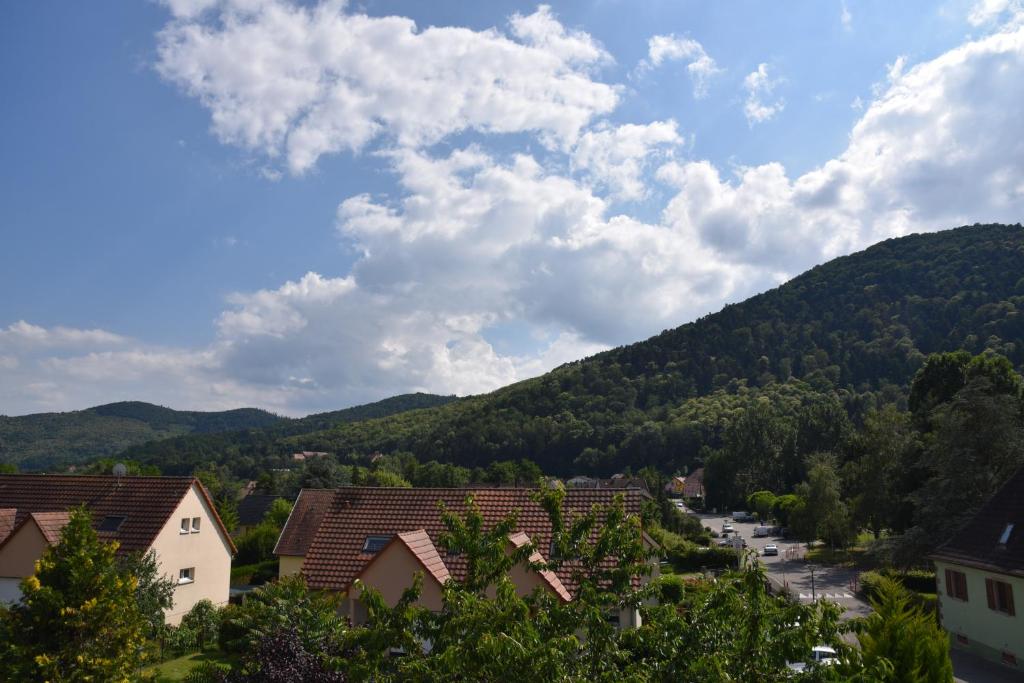 Le cerisier – photo 13