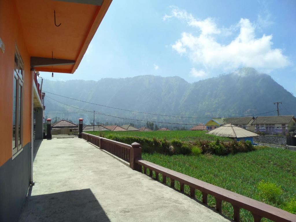 Pemandangan umum gunung atau pemandangan gunung yang diambil dari homestay