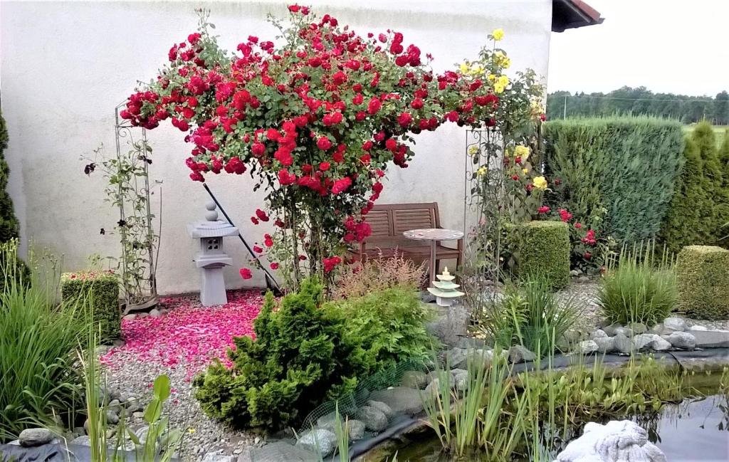 バート・ヴァルトゼーにあるFerienwohnung beim Riedの赤い花と池のある庭園