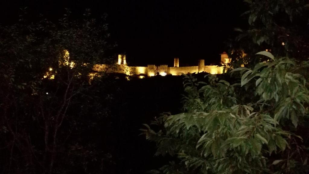 ein Schloss in der Nacht mit Lichtern im Hintergrund in der Unterkunft Zukas Hause in Achalziche