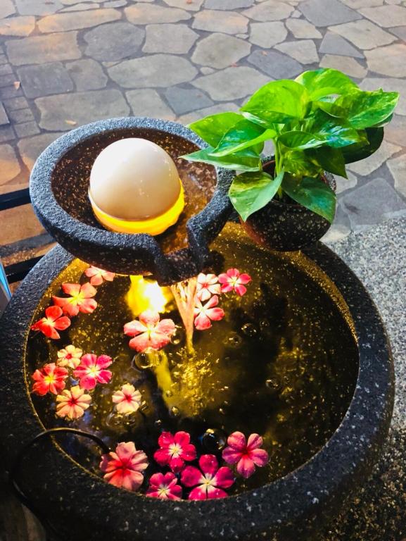 Fotografie z fotogalerie ubytování Youngs Hotspring Hotel v destinaci Ťiao-si