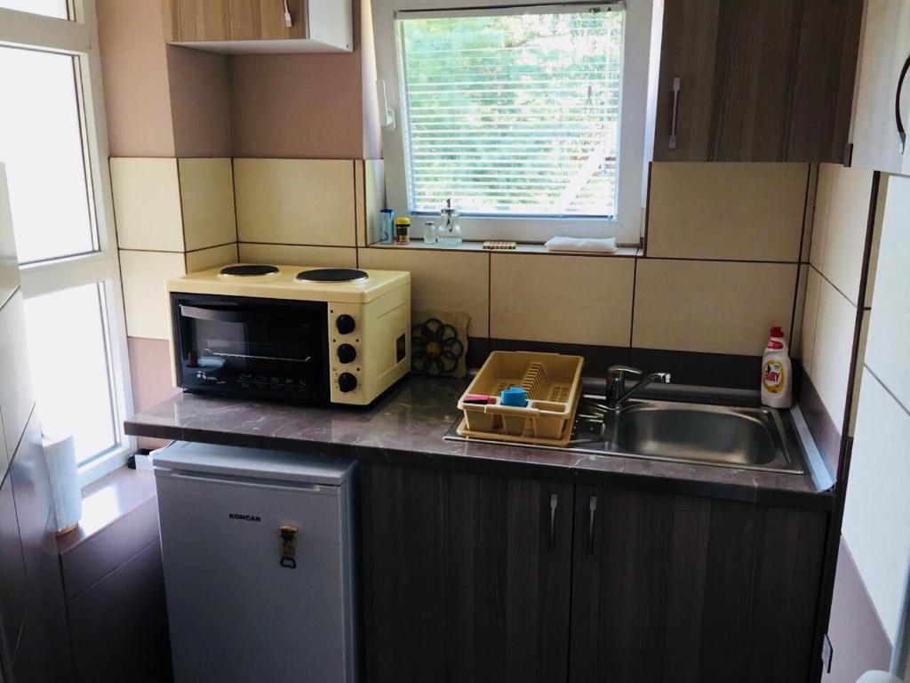 Kuhinja ili čajna kuhinja u objektu Vila Mistik