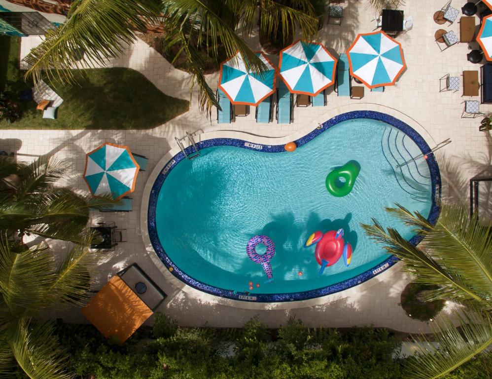 an overhead view of a swimming pool with umbrellas at Generator Miami in Miami Beach
