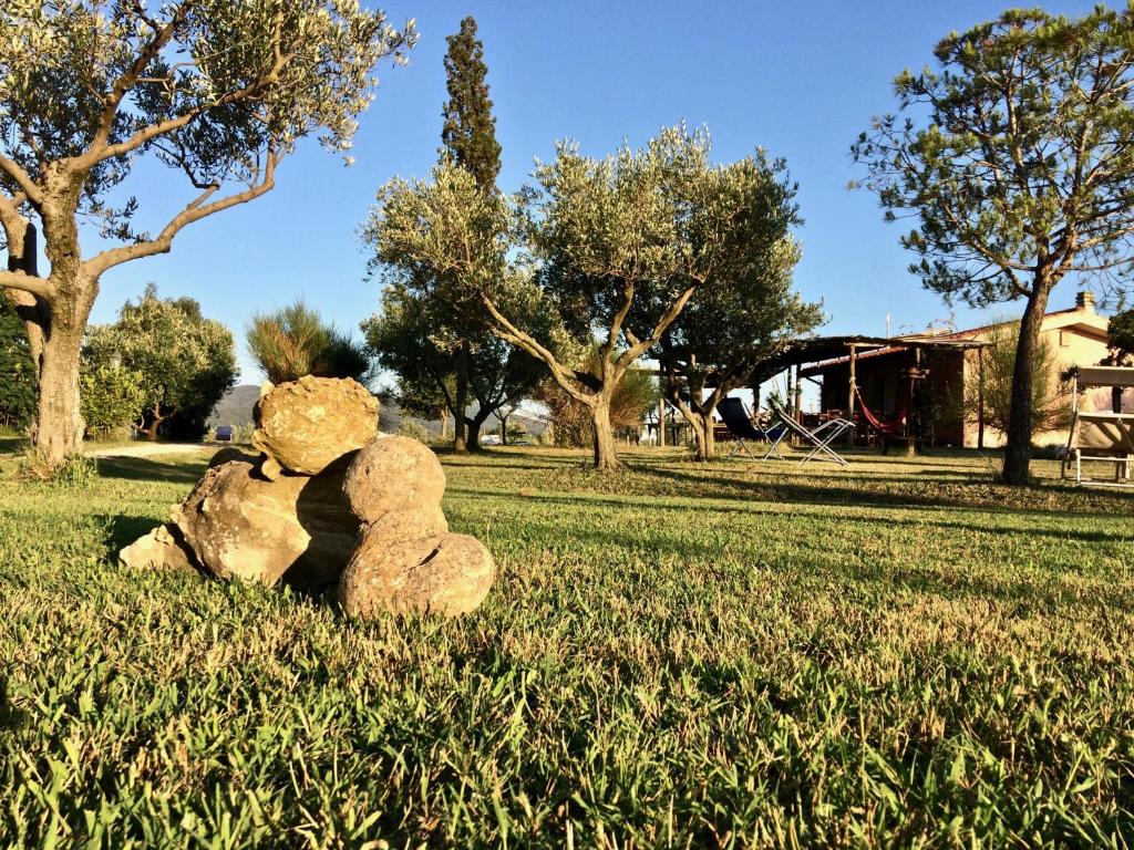 una pila de rocas sentadas en la hierba en Agriturismo La Facenda, en Albinia