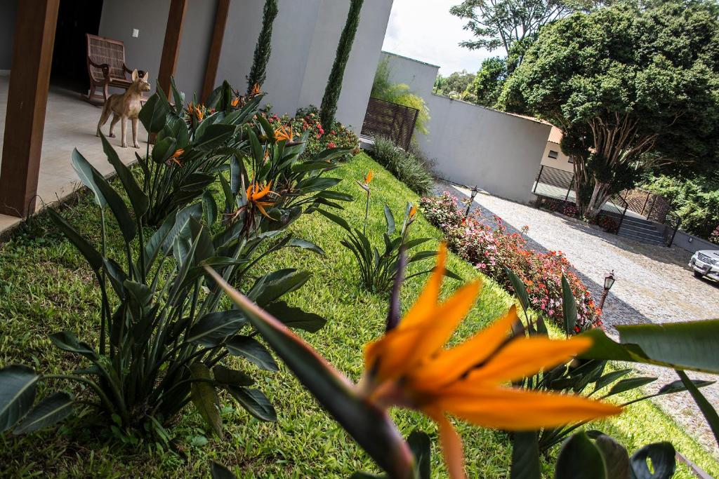  Pousada Recanto das Araras