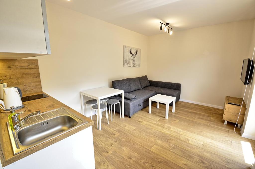 Apartamenty Skalite Szczyrk Wellness - 17