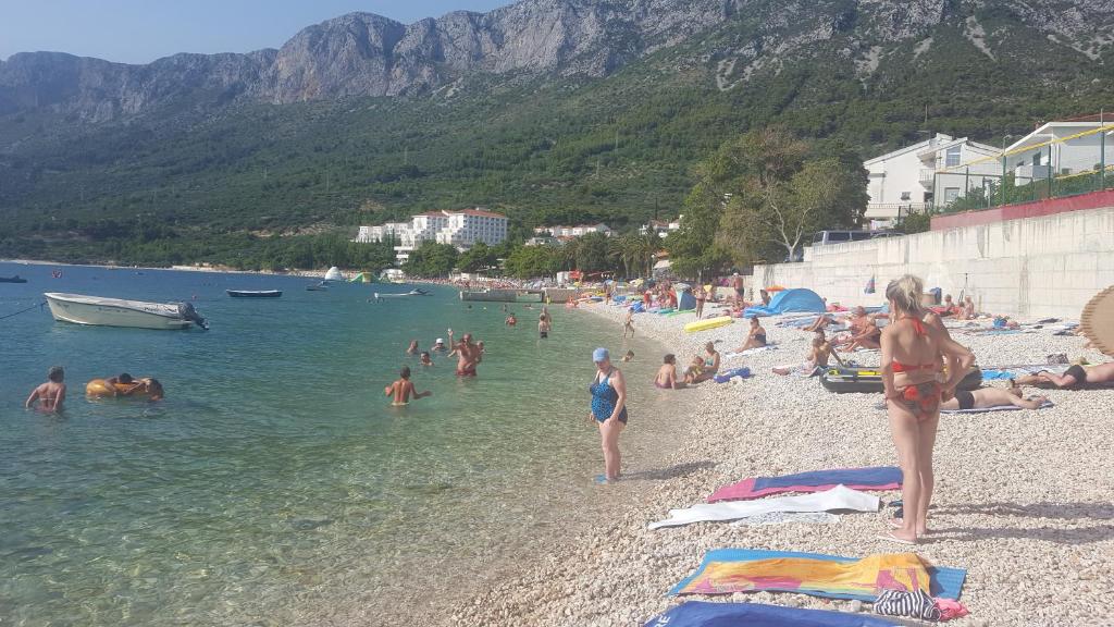 Fotografia z galérie ubytovania Apartman Astra v destinácii Ploče