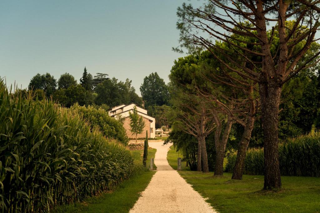 un camino de tierra con árboles y una casa en la distancia en Agriturismo Relais Maddalene101, en Vicenza