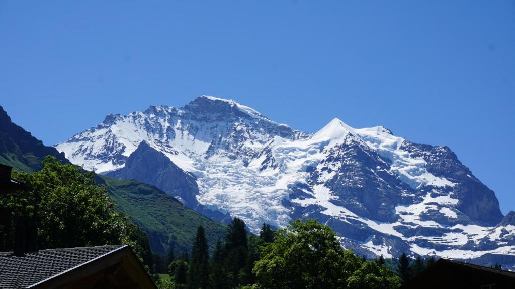 Hotel Bären - the Alpine Herb Hotel, Wengen – Updated 2024 Prices