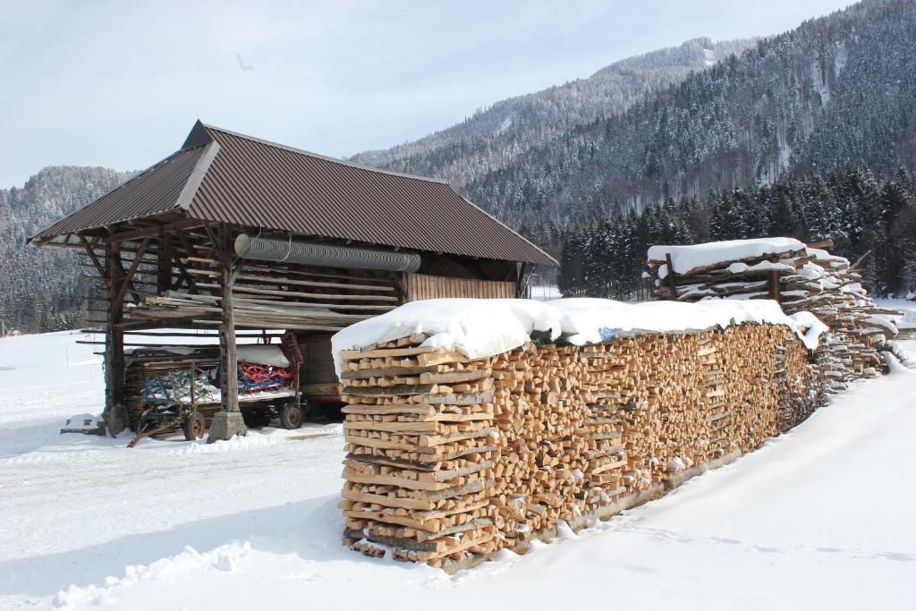 Dreiländerblick, nabij piste met sauna en tafeltennis v zimě