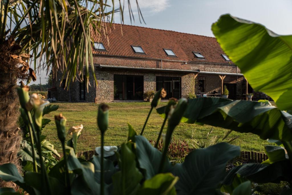 une maison en arrière-plan avec des plantes en avant-plan dans l'établissement Au Petit Canteleu - Bed & Breakfast, à Beloeil