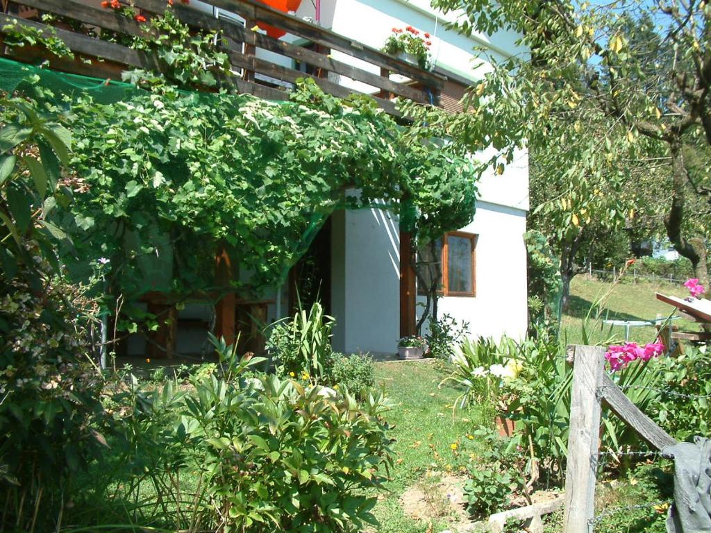 Zahrada ubytování Ferienwohnung Woid Mandl