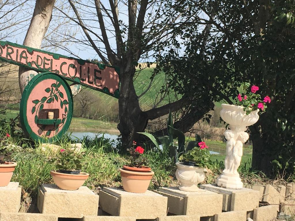 A garden outside Agriturismo Fattoria del Colle