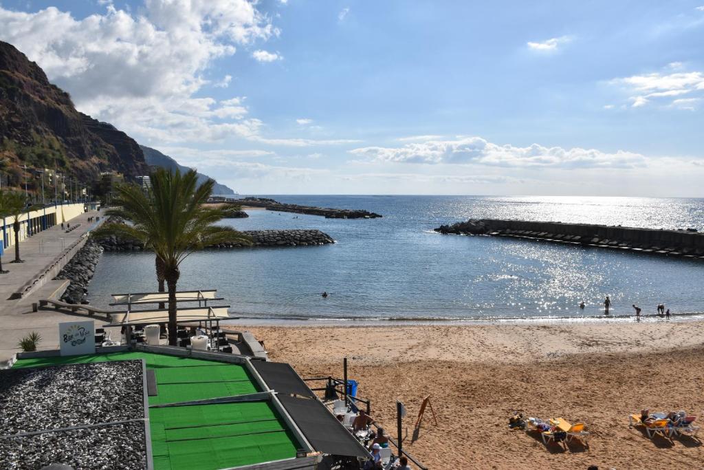 a beach with a palm tree and the ocean at Casa da Fininha in Calheta