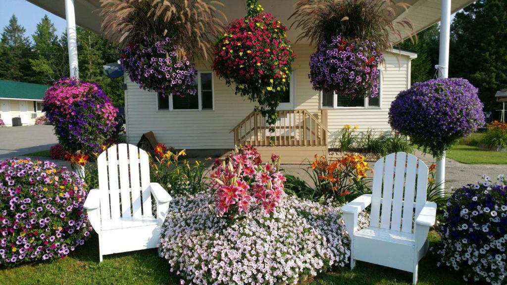 two white chairs in front of a house with flowers at Sunset Motel of St. Ignace in Saint Ignace