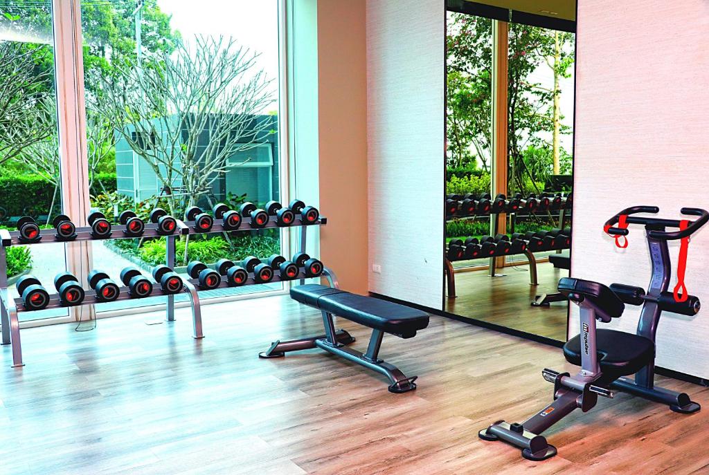 Fitness centrum a/nebo fitness zařízení v ubytování LuxSL LuxuryStyleofLife 4