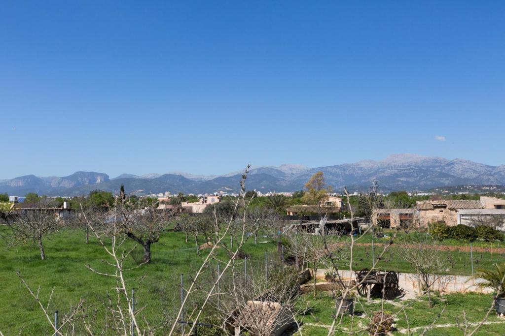 Táj a villa közelében