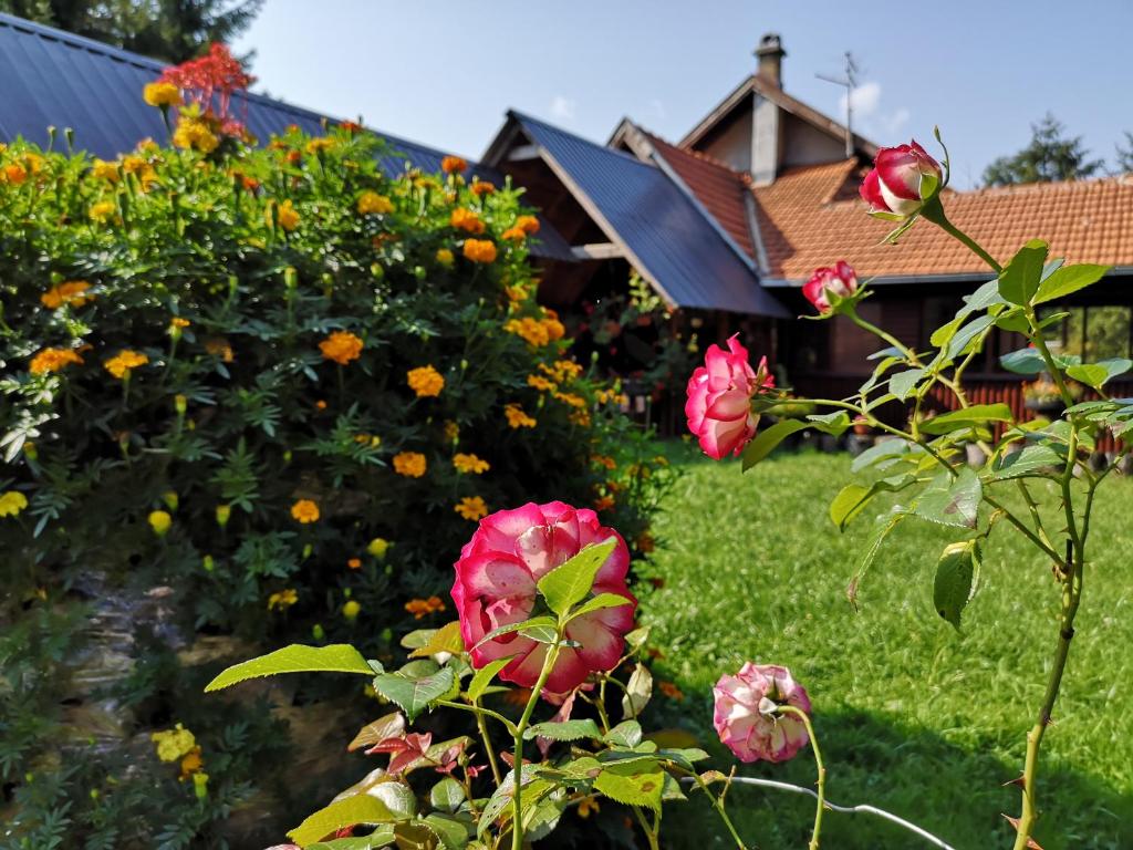 Giardino di Guesthouse Ramović