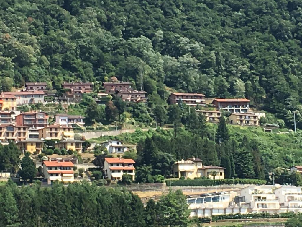 Peisaj natural din apropierea acestui apartament