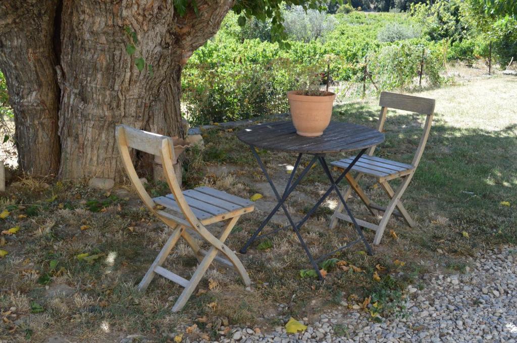 Zahrada ubytování Ferme de Palumiane - Chambres climatisées