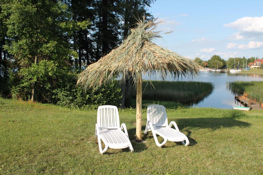 zwei Stühle und ein Regenschirm im Gras in der Nähe eines Sees in der Unterkunft Villa Mamry in Angerburg