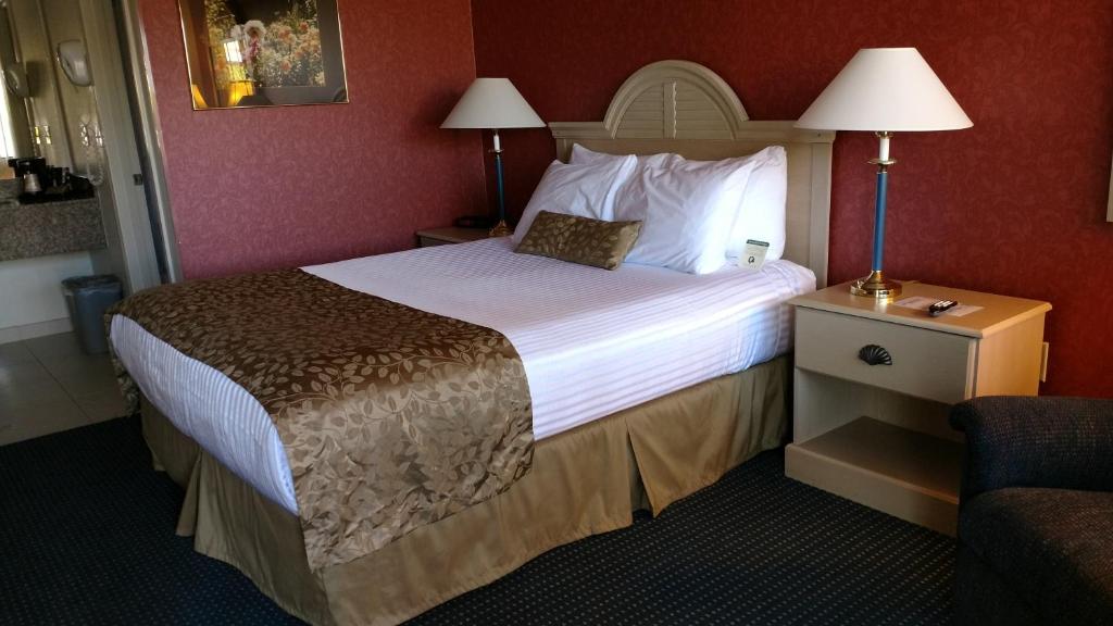 Lewis River Inn - Standaard Queen Kamer