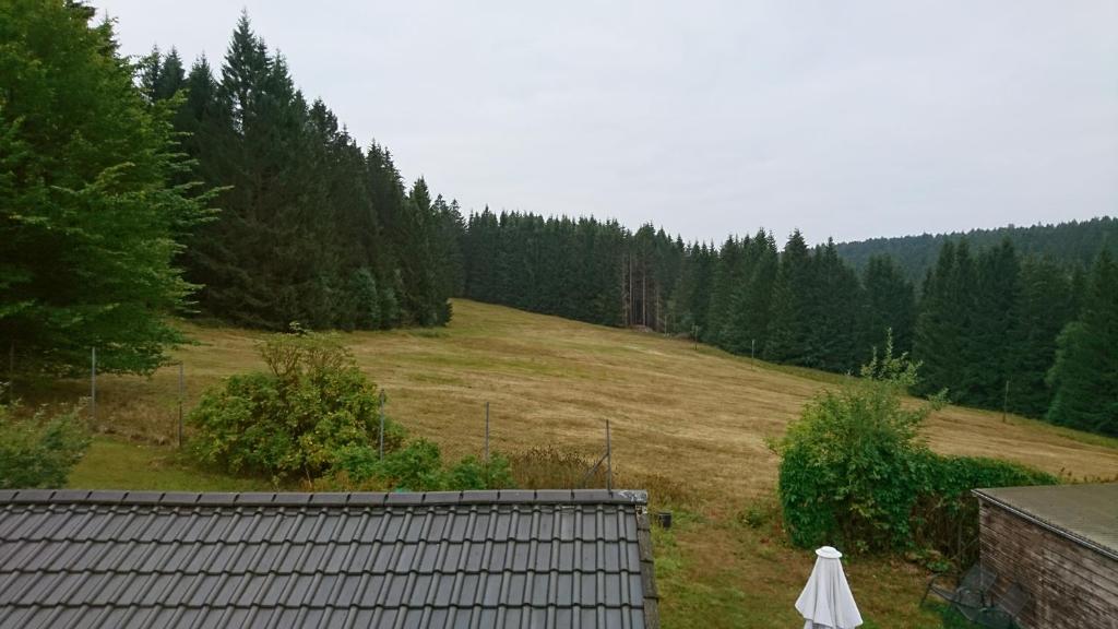 Příroda nedaleko hotelu
