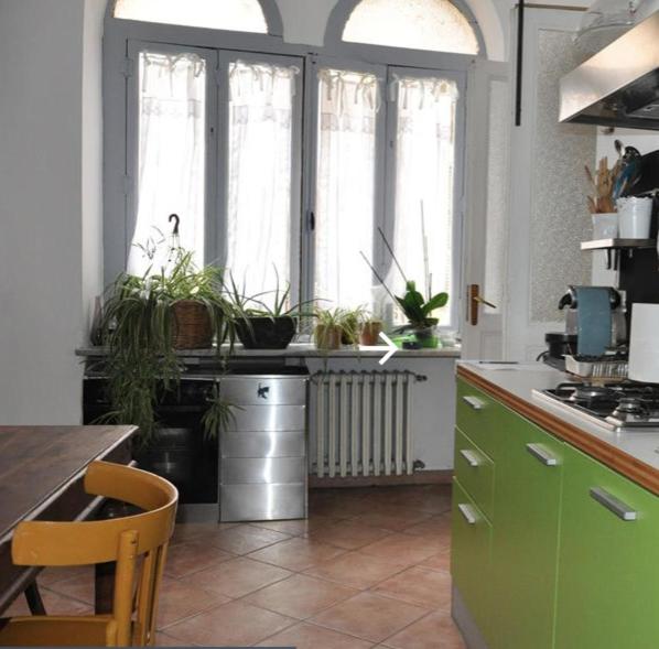una cucina con piante sui ripiani e sulle finestre di l'Orso e le Stelle a Torino