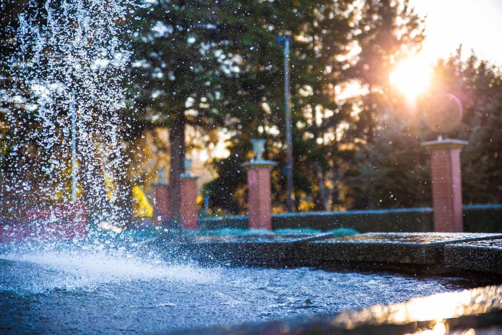 Central City Camping Park - Resim 26