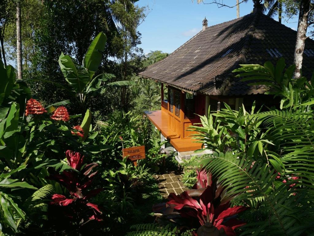 Clove Tree Hill - Villa Kelapa-豪华平房与稻田景观