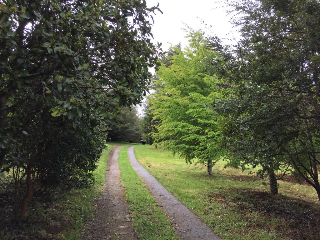 Kiyen Rupu Huillinco Chiloé