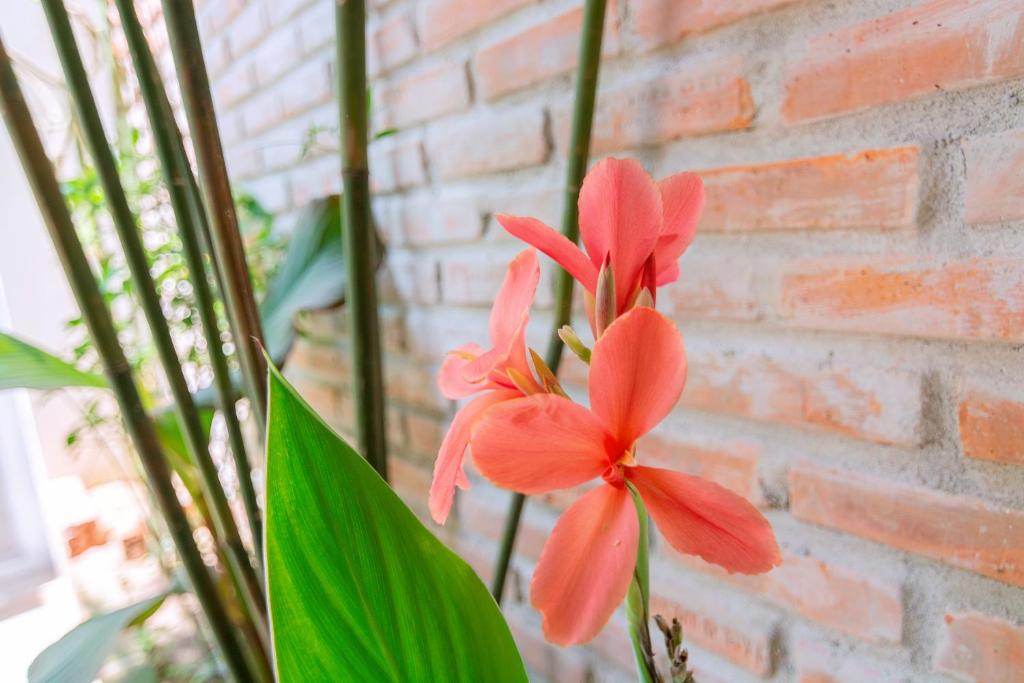 Fotografie z fotogalerie ubytování Seamist Ocean Villa v destinaci Hoi An