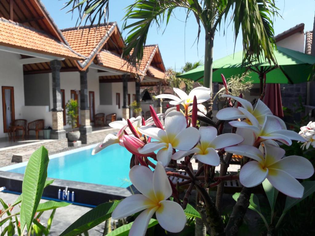 Swimming pool sa o malapit sa Miko Bali Bungalow