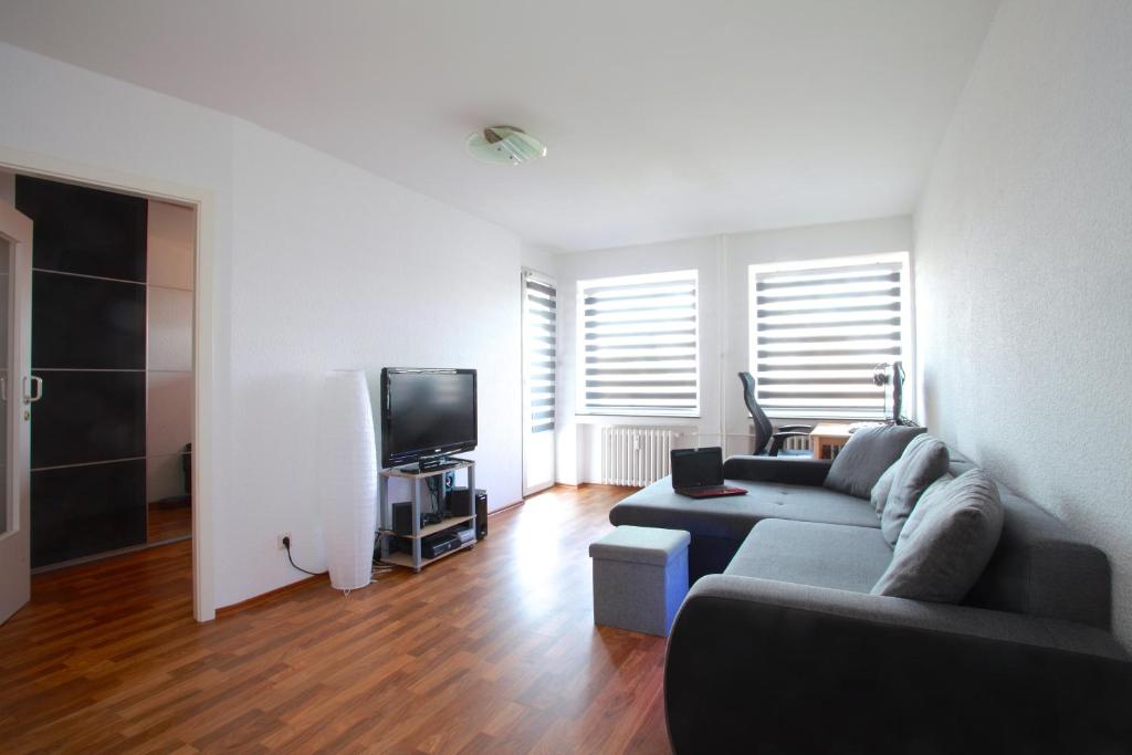 ein Wohnzimmer mit einem Sofa und einem TV in der Unterkunft ProFair Private Apartments & Rooms City Centre - room agency in Hannover
