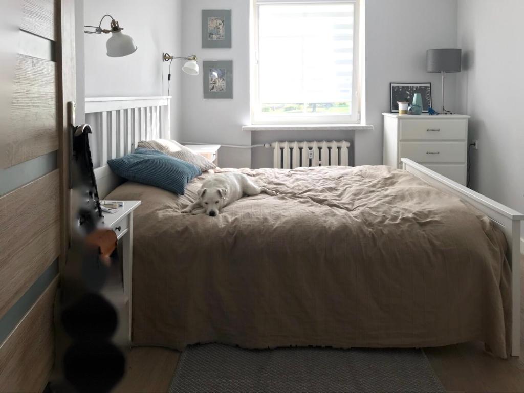 Oficyna Winiarza - Two-Bedroom Apartment