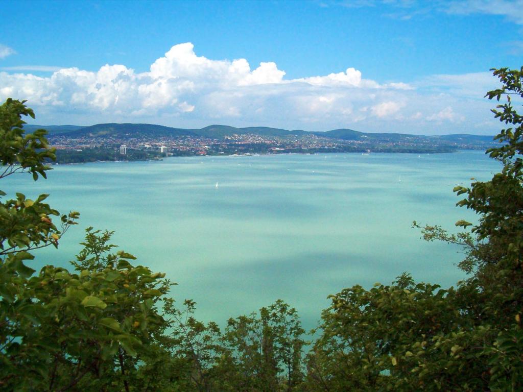 Príroda v okolí apartmánu