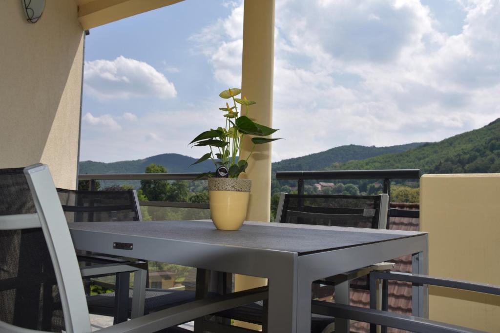 une plante en pot assise sur une table sur un balcon dans l'établissement Le brin d'osier, à Kaysersberg