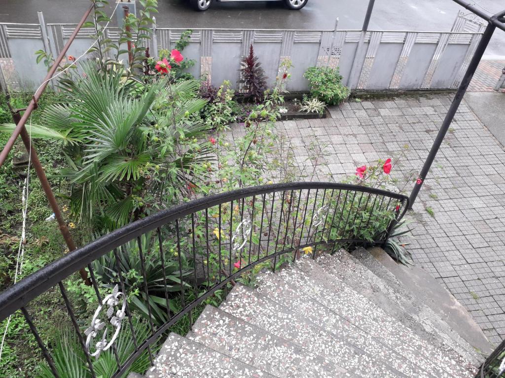 Zahrada ubytování kobuleti bagrationi 40