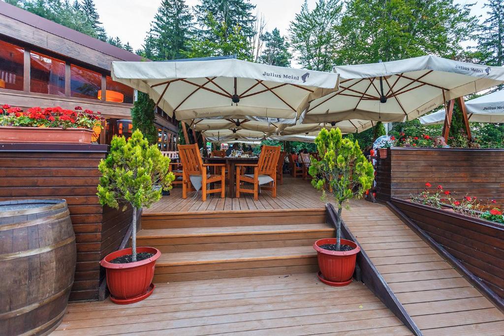 Zahrada ubytování Hotel Piatra Soimului