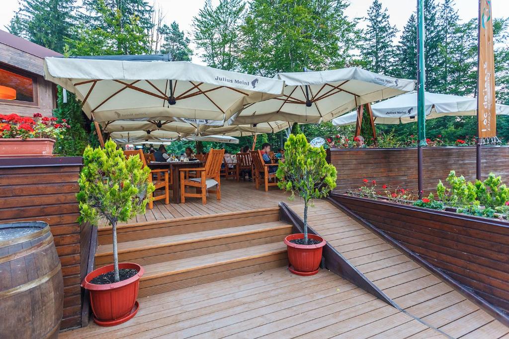 Zahrada ubytování Hotel Piatra Soimului