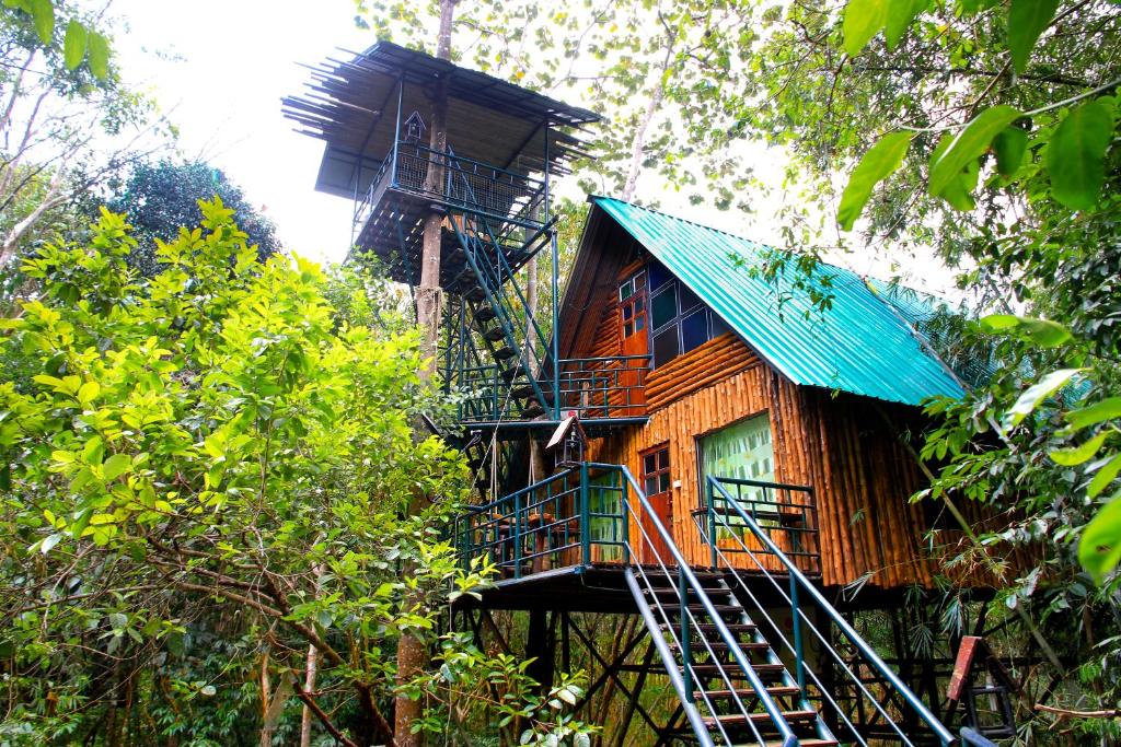 Khao Sok Tree House Resort في خاو سوك: منزل شجرة في وسط الغابة