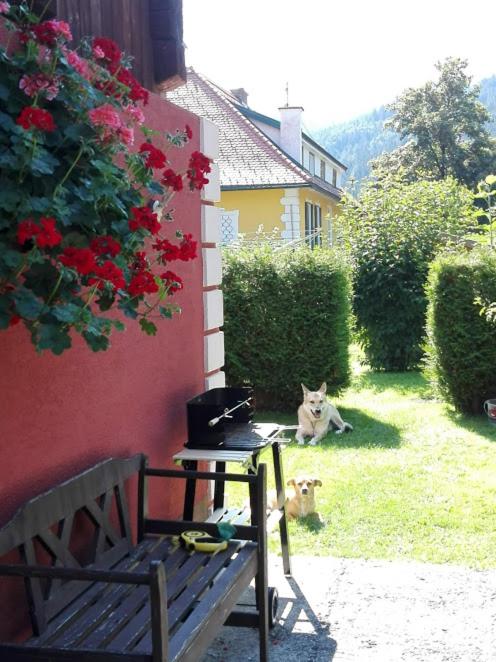 Zahrada ubytování La vecchia Mesnerhaus